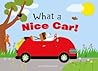 What a Nice Car!