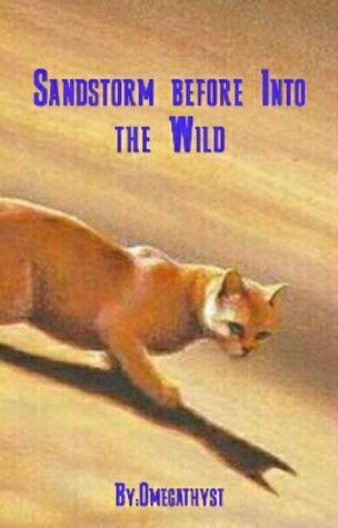Sandstorm Before Into the Wild