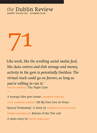 The Dublin Review, Number 71: Summer 2018