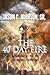 The 40 Day Fire: Burn Away ...