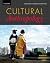 Cultural Anthropology / Making Sense of the Social Sciences Pack by Emily A. Schultz