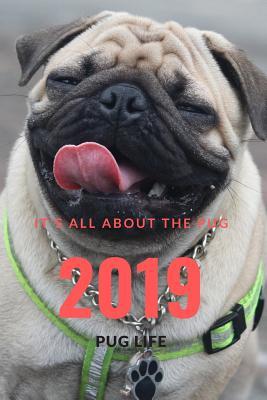 It;s all about the Pug: Pug life