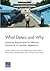 What Deters and Why: Explor...