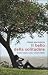 Il bello della solitudine. ...