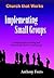 Implementing Small Groups