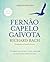 Fernão Capelo Gaivota (Portuguese Edition)