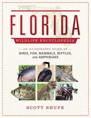 Florida Wildlife Encyclopedia: An Illustrated Guide to Birds, Fish, Mammals, Reptiles, and Amphibians (Hardcover)