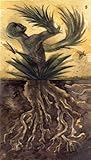Resurrección