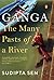 Ganga: The Many Pasts of a River