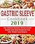 Gastric Sleeve Cookbook 201...
