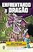 Enfrentando o dragão - Minecraft - vol. 3 (Portuguese Edition)