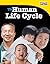 The Human Life Cycle (TIME ...