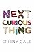Next Curious Thing
