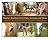 100+ Equine Assisted Activities, Lessons and Ideas