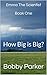 How Big is Big?: Book One (...