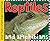 Smart Kids: Reptiles and Amphibians