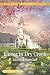 Easter in Dry Creek (True Large Print)