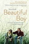 Beautiful Boy by David Sheff