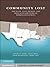 Community Lost: The State, Civil Society, and Displaced Survivors of Hurricane Katrina