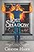 Lost Shadow (Neverwood Chronicles, #3