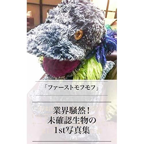 Moccomerian Hatsu Shashinshu First Mofumofu Moccomerian Photobook By Moccomerian