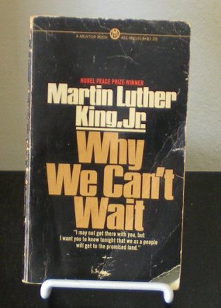 Why We Can't Wait