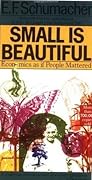 Small Is Beautiful: Economics as if People Mattered