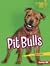 Pit Bulls by Sarah Frank