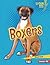 Boxers