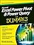 Wiley India Microsoft Excel Power Pivot Power Query for Dummies