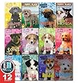 The Puppy Place Set of 16 Books: Maggie and Max, Noodle, Lucky, Bear, Honey, Cody, Jack, Sweetie, Goldie, Snowball, Shadow, Rascal, Buddy, Flash, Scout and Patches By Ellen Miles