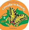 Caterpillar to Butterfly by Frances Barry