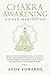 Chakra Awakening Guided Meditation by Andy Edwards