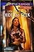 Hide and Seek (Family Reunions, #1)