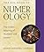 The Big Book of Numerology: The Hidden Meaning of Numbers and Letters (Weiser Big Book Series)