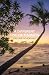 A Different Kind of Madness by Pauline Schokman A Different Kind of Madness by Pauline Schokman
