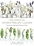Essential Aromatherapy Garden by Julia Lawless