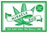 Miracle Bud: Test How High You Really Are – The Stoned Sessions Companion with Twisted Trivia, Mind-Bending Facts, and Activities