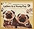 Letters to a Young Pug