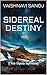 Sidereal Destiny by Vaishnavi  Sanoj