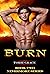 BURN (Nevermore Series #2.)