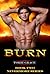 BURN (Nevermore Series #2.)