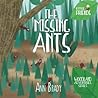 The Missing Ants (Little Friends Series)