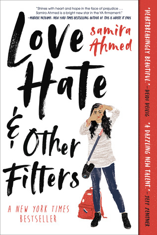 pdf download Love, Hate and Other Filters