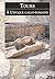 Tours à l'époque gallo-romaine by Pierre Audin