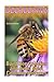 Beekeeping: Build Bee Colonies and Avoid Most Common Mistakes: (The Beekeepers Handbook, Beekeeping Guide) (The Beekeepers Bible)