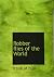 Robber flies of the World