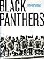 black panthers by Stephen Shames