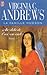 Au-delà de l'arc-en-ciel by V.C. Andrews