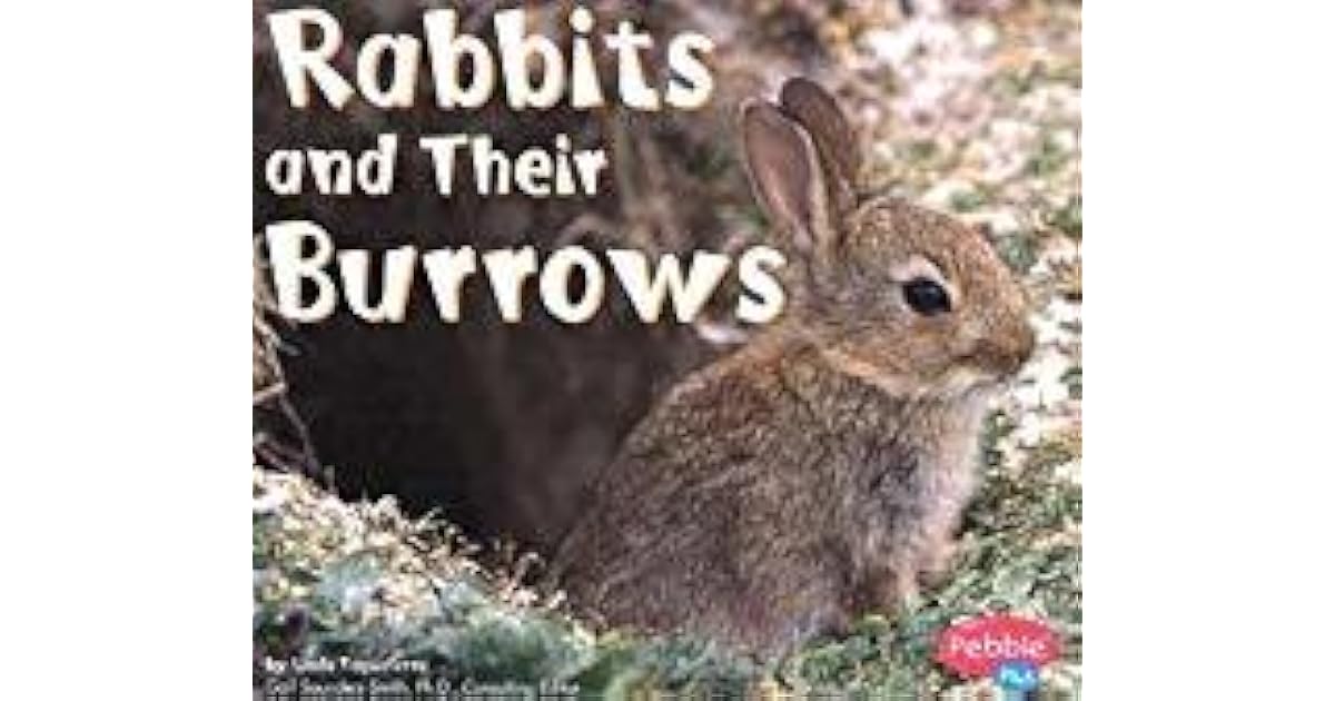 Rabbits and Their Burrows by Linda Tagliaferro